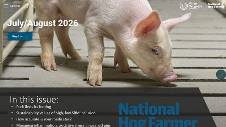 NHF Web Cover 070826
