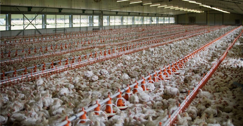 PoultryHouse_1540x800.png