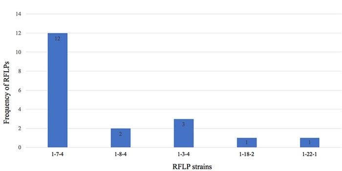 Figure 1: Distribution of RFLP patterns reported on herd outbreaks. 