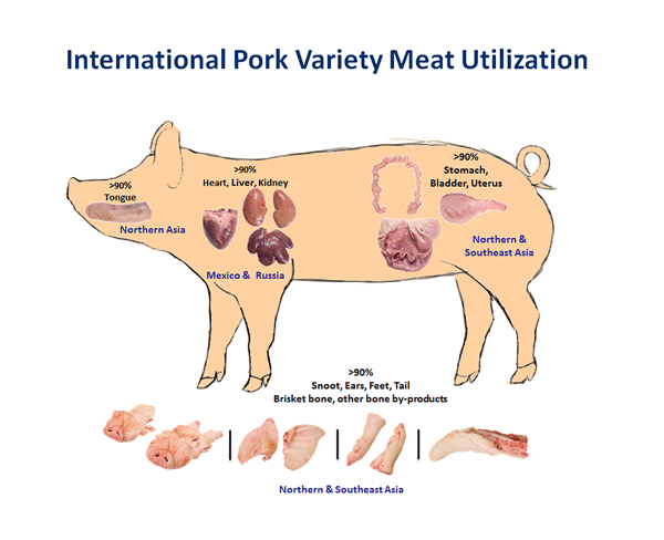 Meat Portions Of A Pig