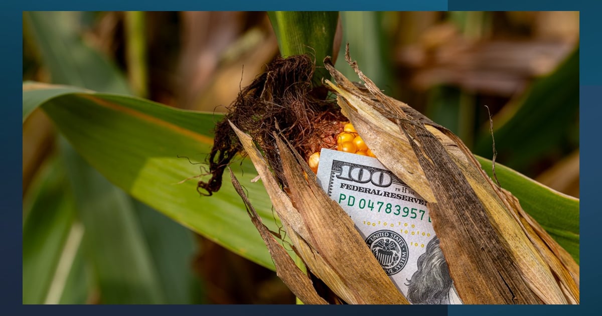 Corn Money Majority of House Republicans call for farm bill passage