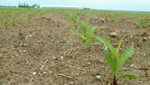 Crop Planting Progress Slows