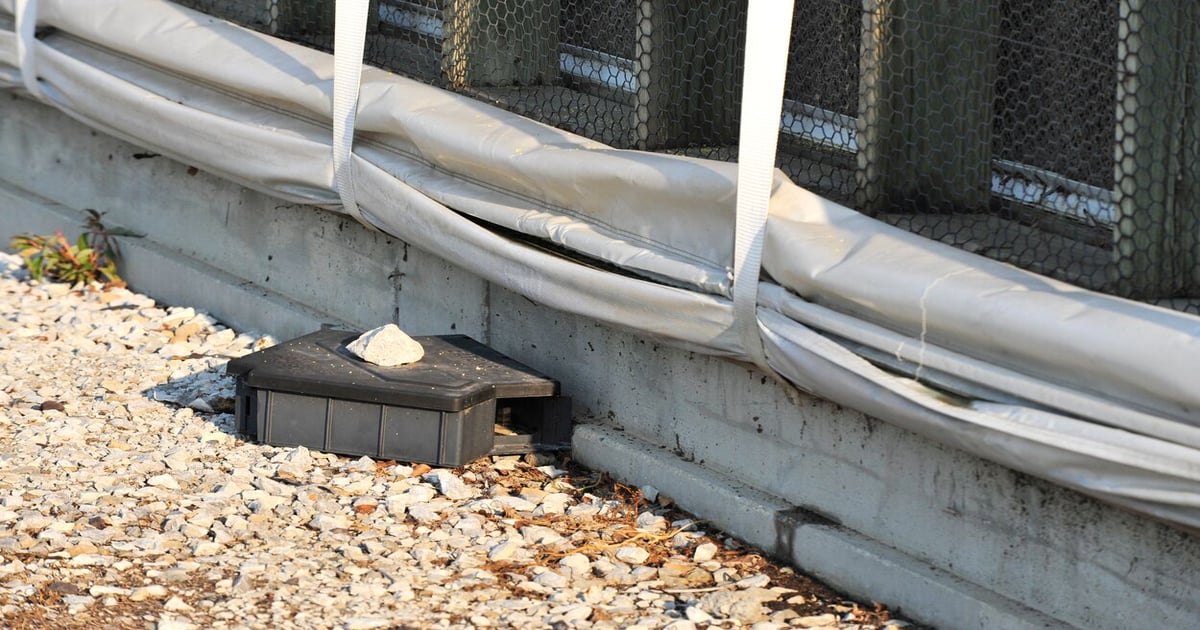 With rise in rodenticide exposure in pigs; proper storage critical