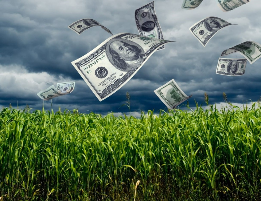Getty Images Money Corn Field.jpg