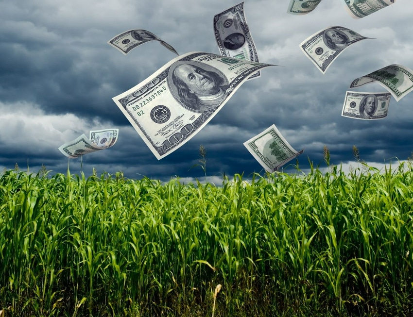 Getty Images Money Corn Field.jpg Getty Images Money Corn Field.jpg