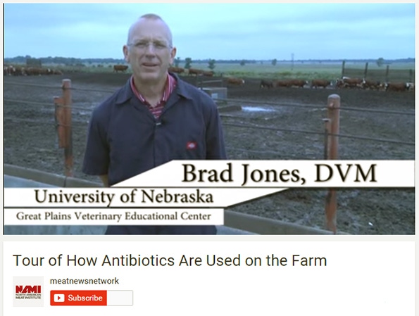 NAMI video explores livestock antibiotics use