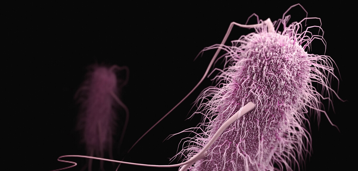 Purdue to host second antimicrobial resistance conference - Vimarsana News