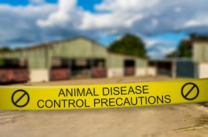 Animal disease control precautions tape in front of a barn