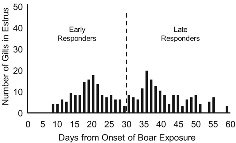 Early puberty indicates future productivity