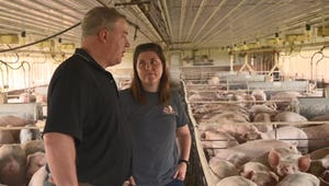 This Week in Agribusiness - Hog producer problems