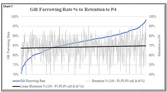 Chart 7: Gilt farrowing rate percent to retention to P4