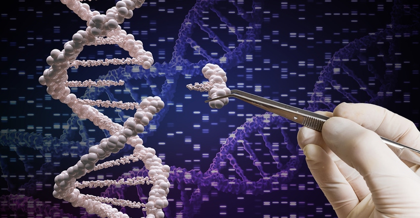 DNA manipulation DNA manipulation