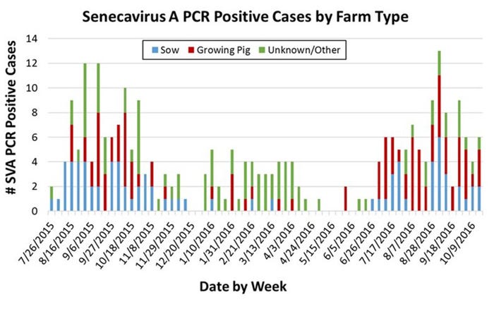 NHF-Senecavirus-Weekly-cases-VOC.jpg