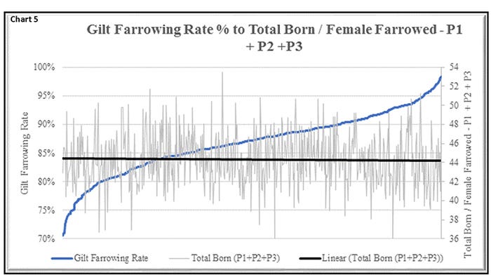 Chart 5: Gilt farrowing rate percent to total born per female farrowed (P1+P2+P3)