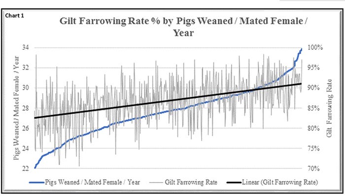 Chart 1: Gilt farrowing rate percent by pigs weaned per mated female per year