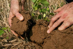 soil health and on-farm conservation