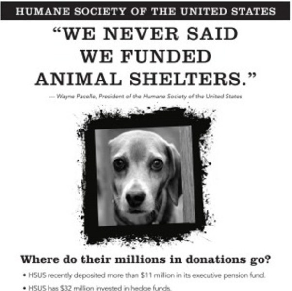 Humane Watch Calls Out HSUS Fundraising Tactics