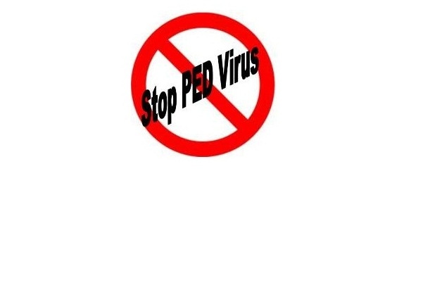PEDV Groups Assembled to Fight the Virus