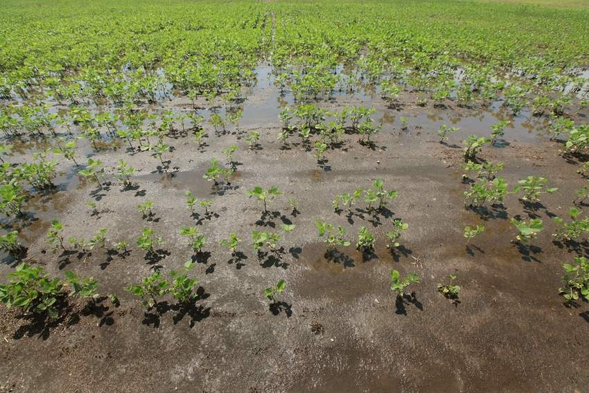 EPA finalizes WOTUS EPA finalizes WOTUS