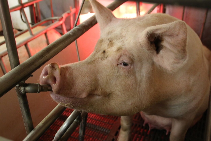 Waterer (1).jpg Waterer (1).jpg
