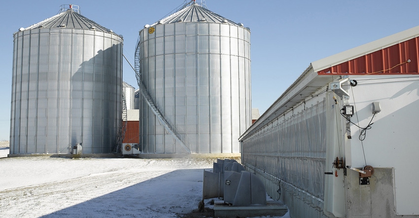 Hog barn and grain bins in the winter