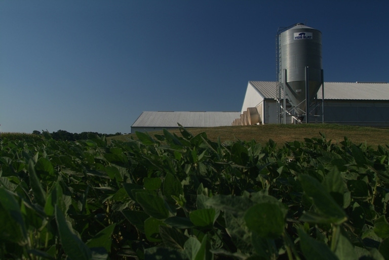 Will the U.S. Run Out Of Soybeans?