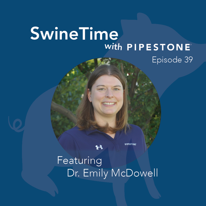 SwineTime Cover.png