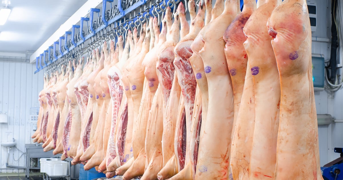 Pork Process Study aims to identify U.S. meat processing plant survival factors