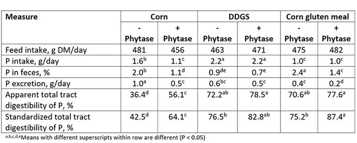 Table 3: Effect of microbial phytase supplementation (600 phytase units per kilogram) on fecal phosphorus concentration, excretion, and digestibility of corn, DDGS and corn gluten meal (adapted from Rojas et al., 2013)