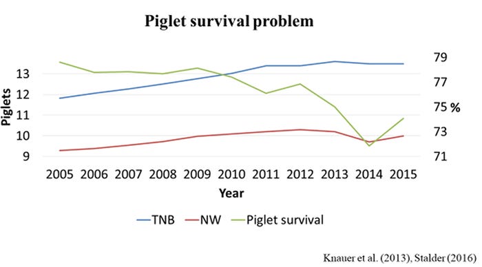 Figure 1: U.S. trends for total number born, number weaned and piglet survival.