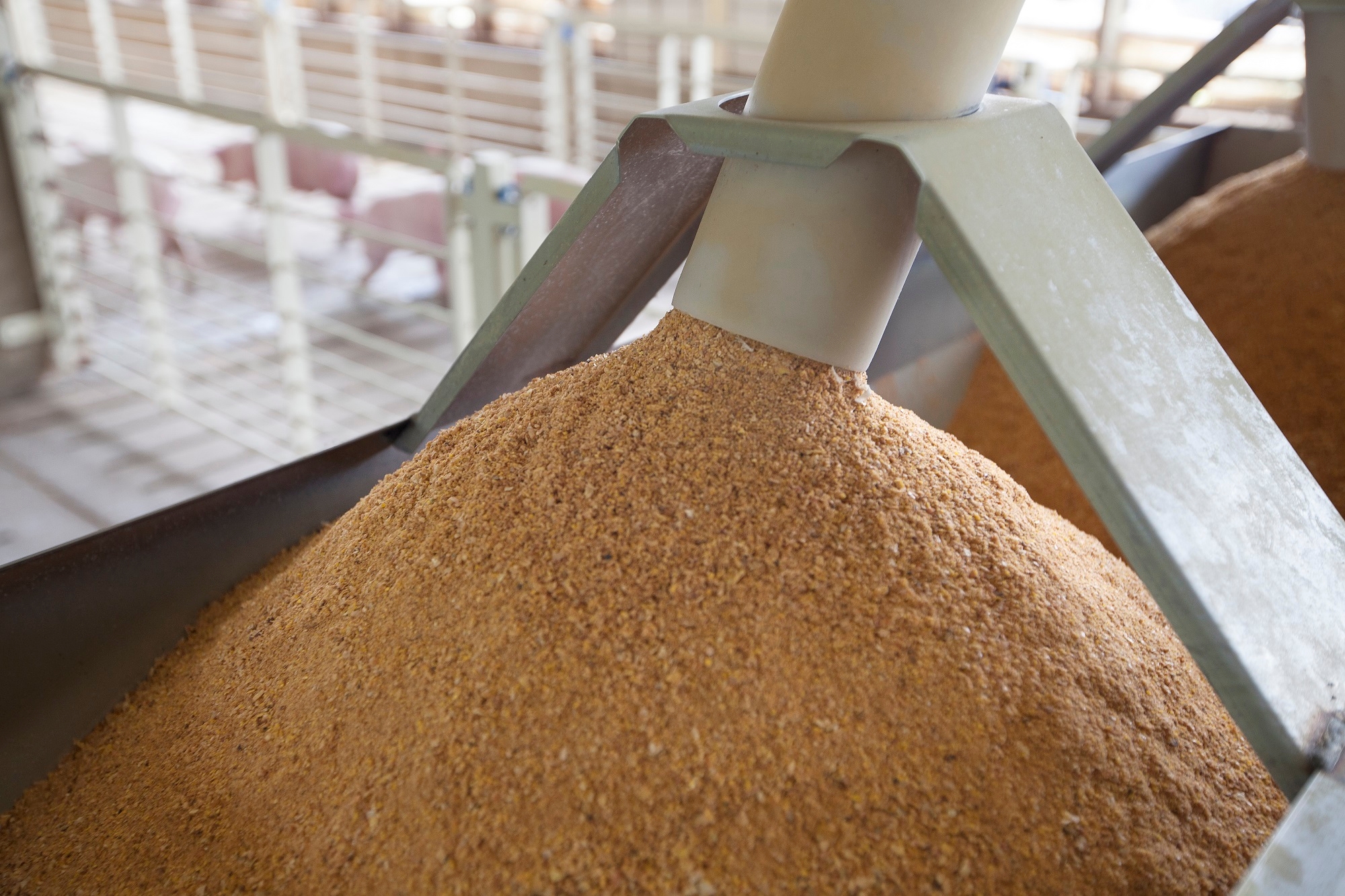 Soybean meal store