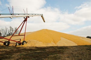 Grain Prices Continue Downward Cycle; Pork Prices Rise