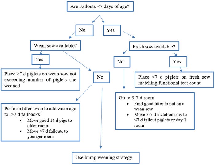 Figure 1: Fallout Management Decision Tree 