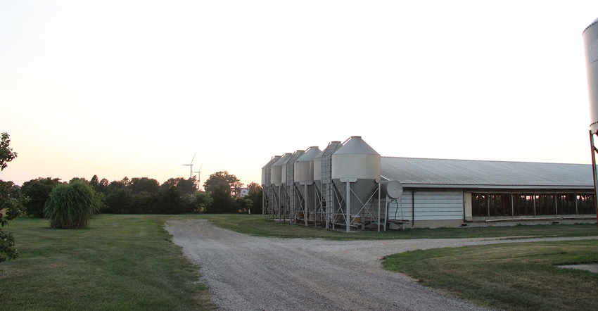 Illinois hog farm