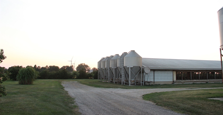 Illinois hog farm Illinois hog farm