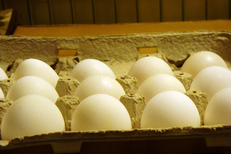 Senate Farm Bill Could Include Egg Bill
