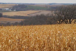 Challenging Weather Conditions Limit Crop Production During 2011