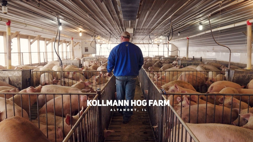 IL Pork - Alan Kollmann - THUMBNAIL.jpg