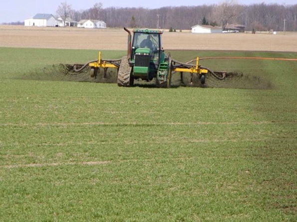 Consider timing, nitrogen content of liquid manure to fertilize wheat