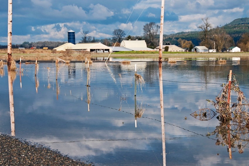 North Carolina floodplain swine buyout program continues