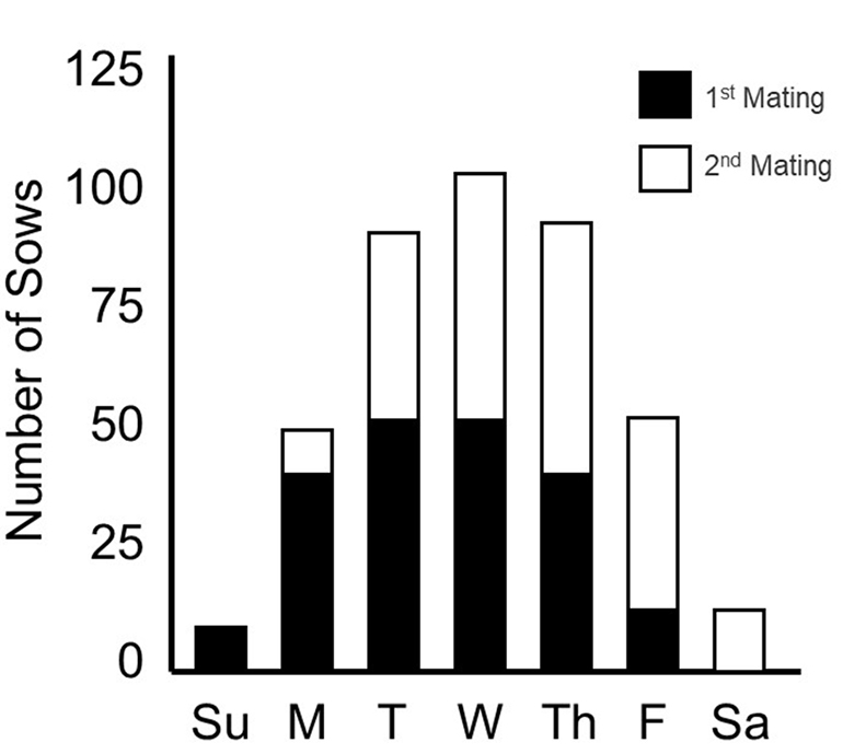 Weaning-to-estrus profiles and breeding with 'young semen'