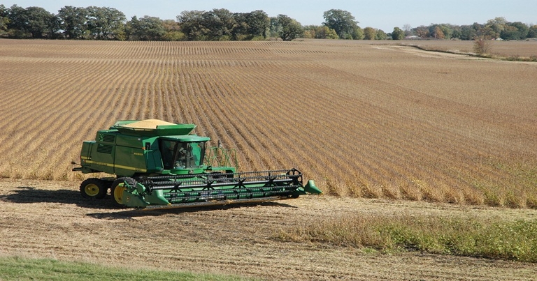 Follow Proper Grain Storage Practices