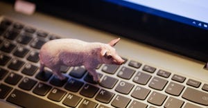 Toy pig on a computer keyboard