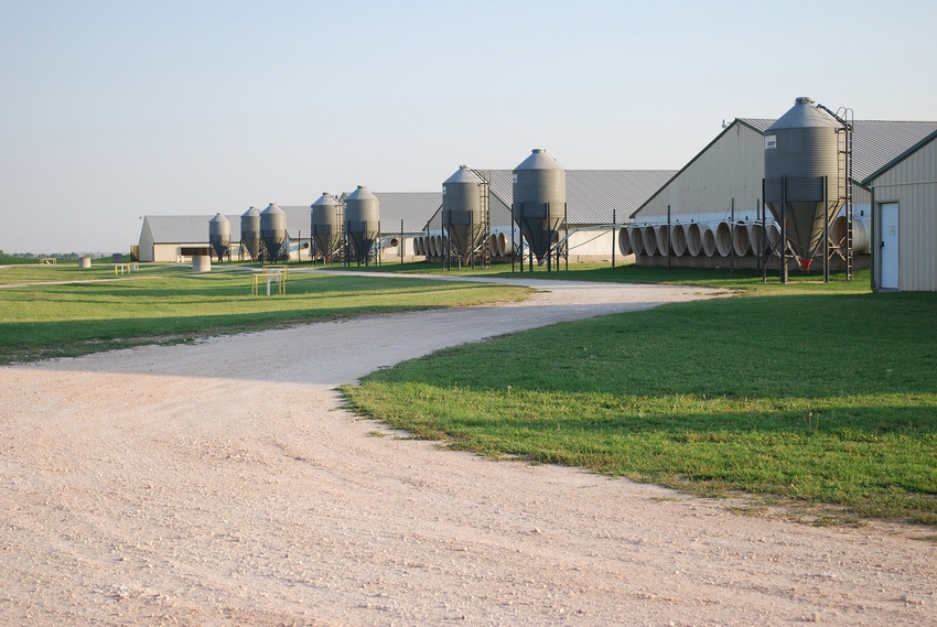 Study: Iowa pork industry remains important economic driver Study: Iowa pork industry remains important economic driver