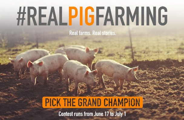 Help pick #RealPigFarming Grand Champion