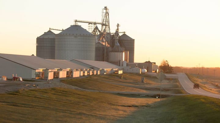 NPB Brenneman Sow Farm Iowa
