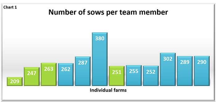  Number of sows per team member
