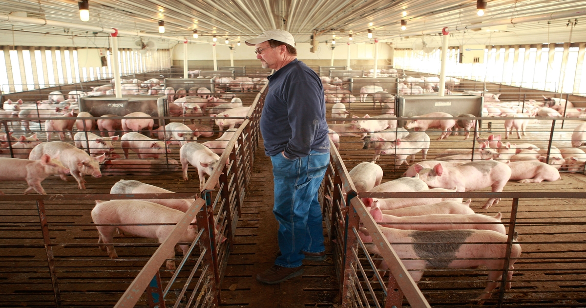 Pork Month brings optimism, challenges | National Hog Farmer