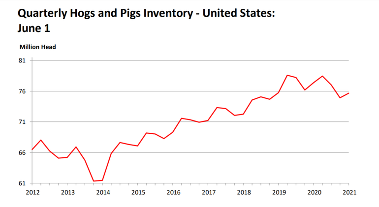 usda hogs and pigs 6.21.png