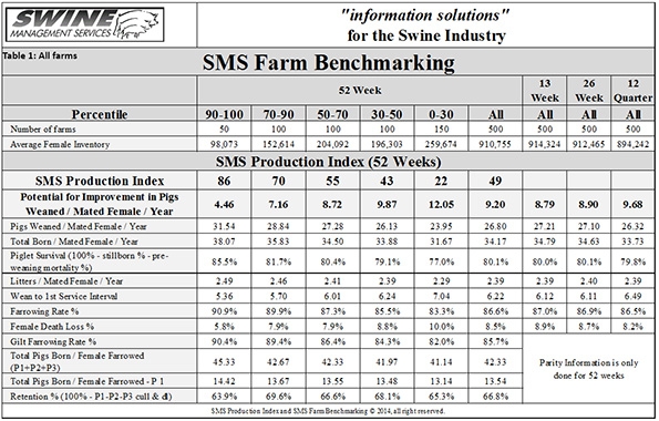 Batch farrowing provides consistent supply of hogs